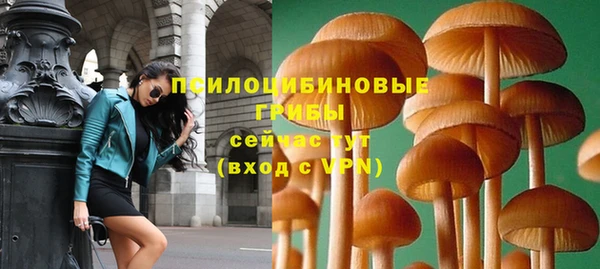 прущий лед Алзамай