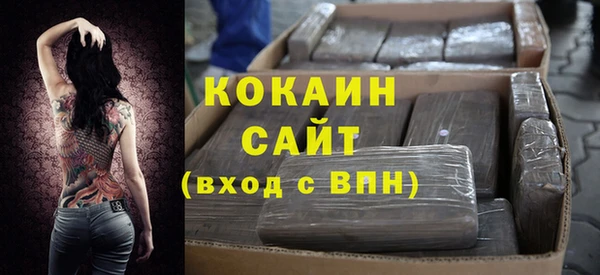 прущий лед Алзамай