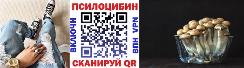 ссылка на мегу ссылка  хочу наркоту  Муром  Псилоцибиновые грибы мицелий 